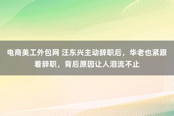 电商美工外包网 汪东兴主动辞职后，华老也紧跟着辞职，背后原因让人泪流不止